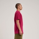 SCA-TEE-12286