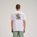 SCA-TEE-12377