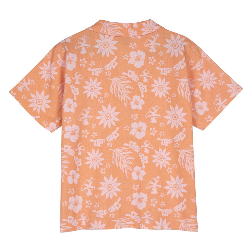 SCA-WST-0102