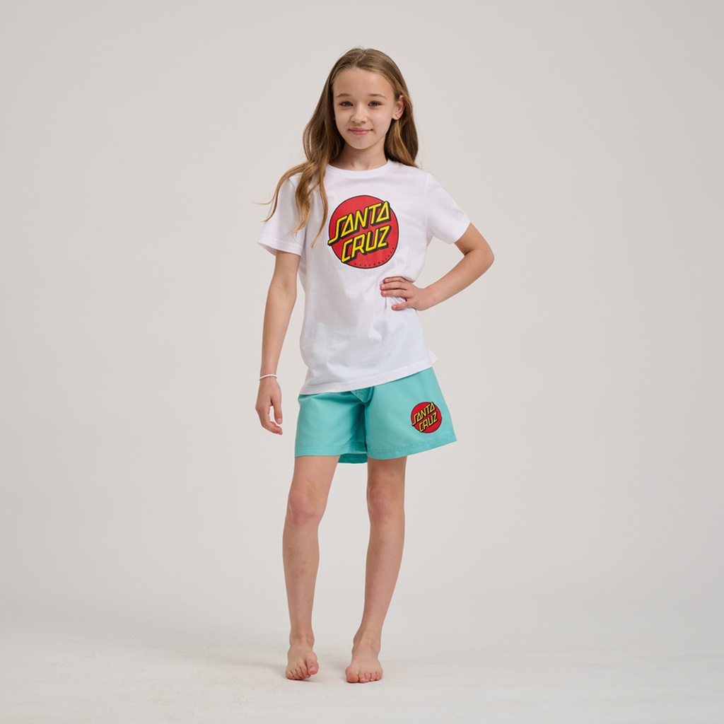 SCA-YSR-0239