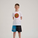 SCA-YSR-0230