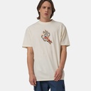 SCA-TEE-12923