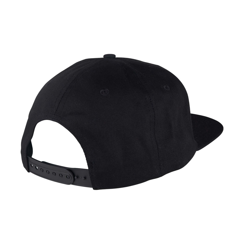 SCA-CAP-0258_1