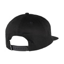 SCA-CAP-9580_1