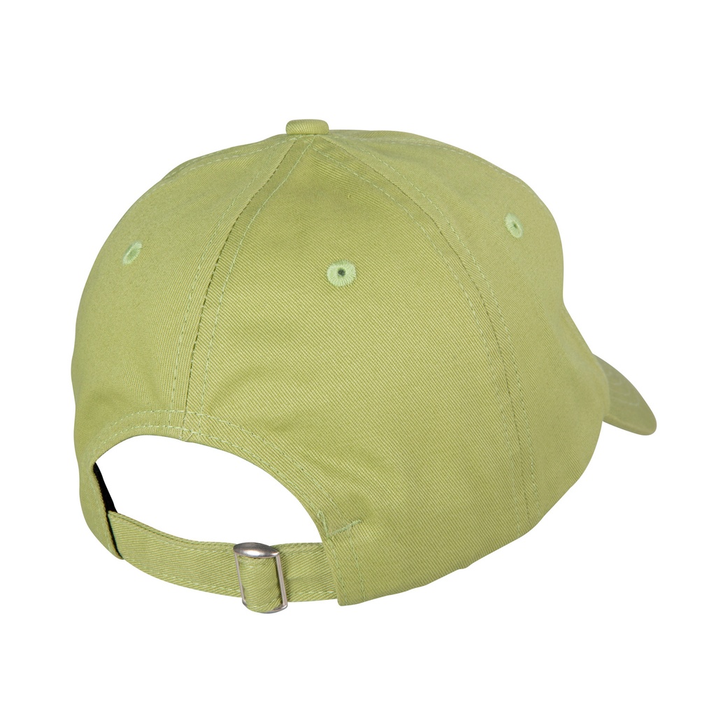SCA-CAP-0410