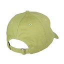 SCA-CAP-0410