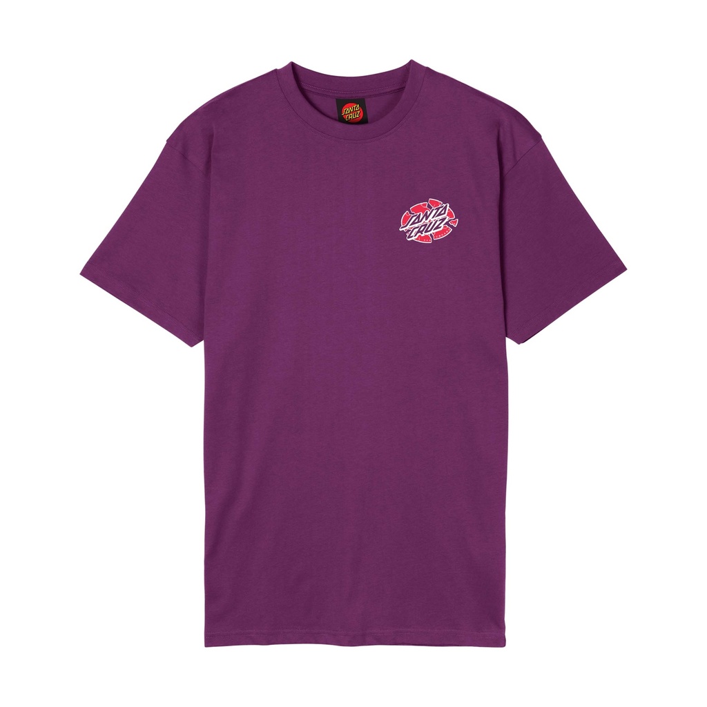 SCA-TEE-13934_1