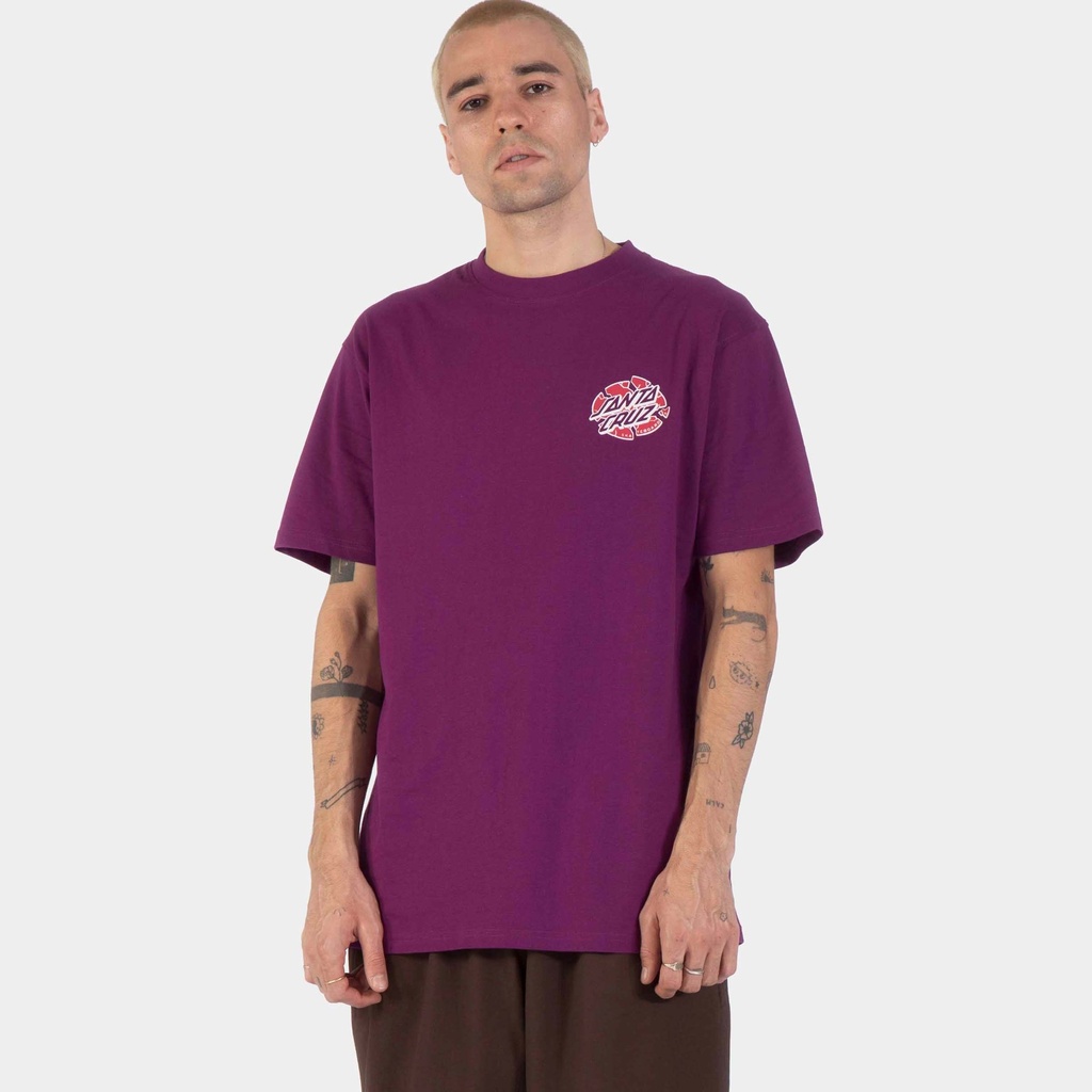 SCA-TEE-13934_2