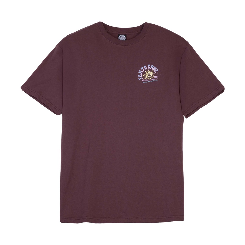 SCA-WTE-3495_1