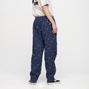 SCA-PNT-0922