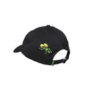 SCA-CAP-0445