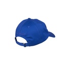 SCA-CAP-0434