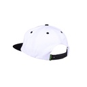 SCA-CAP-0447
