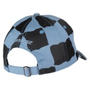 SCA-CAP-0465