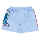 SCA-YSR-0182