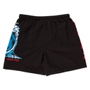 SCA-YSR-0186