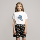 SCA-YSR-0190