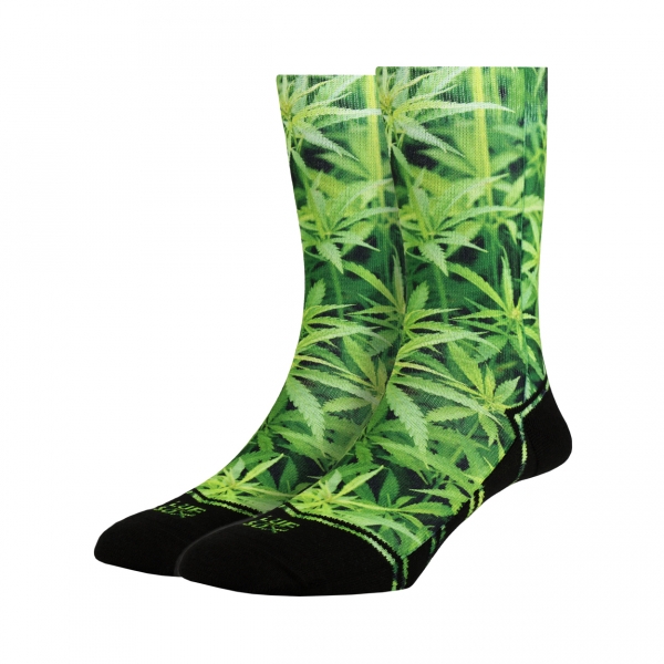 [8LF7006400M] Classics Ganja (M)
