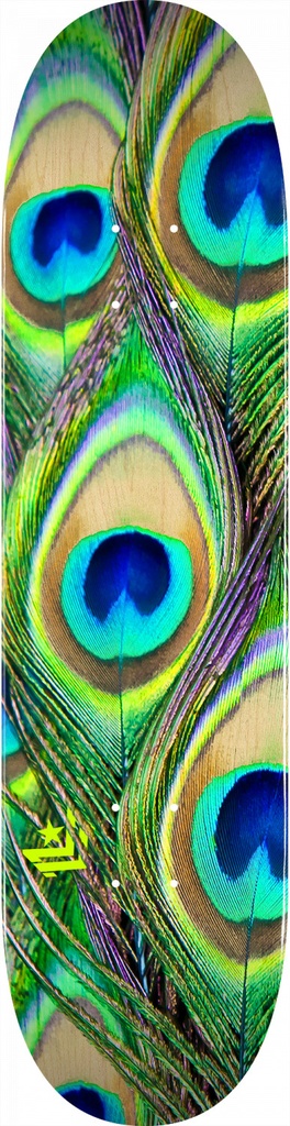 [9ML00234775] MINI-LOGO PEACOCK FEATHER MAPLE K20 (7.75)