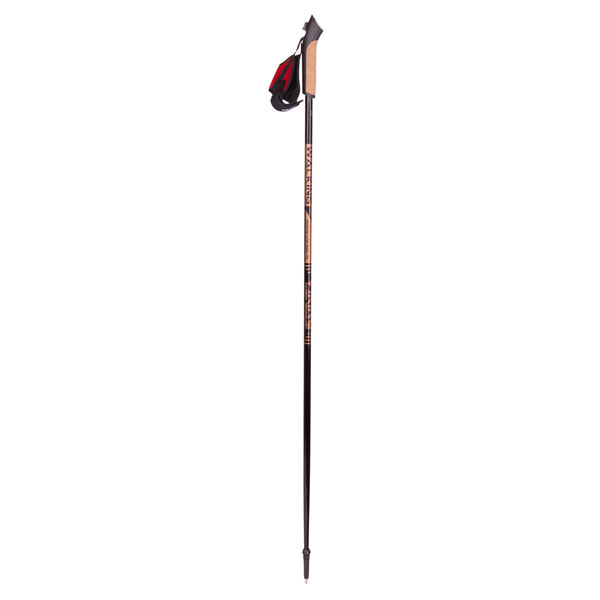660/16/2121 (09) Nordic Walking Poles Para