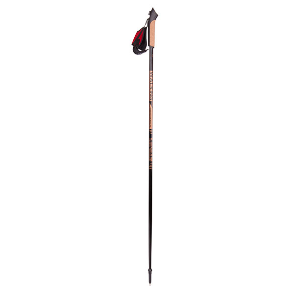 660/16/2121 (09) Nordic Walking Poles Para
