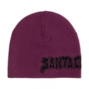 Punk Strip Beanie