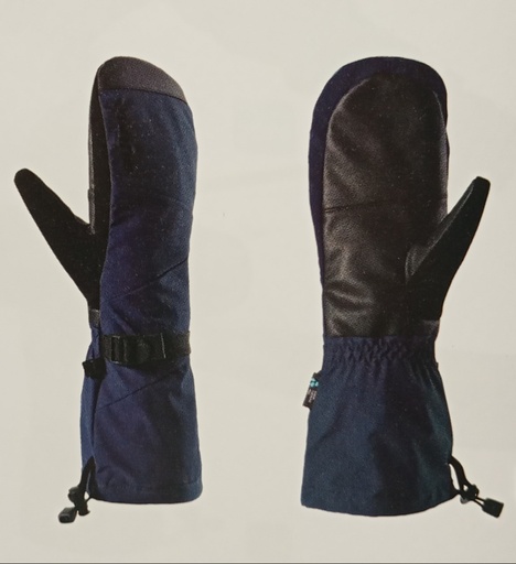 [111/24/5667/1900/8] 160/25/8822 GLOVES HUDSON GTX MITTEN (copia)
