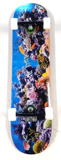 [9MLA0053800] BIRCH FISH TANK 18" K20 8.0