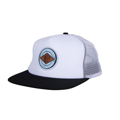 [INA-CAP-0250] CAP BTG SUMMIT UNION MESHBACK
