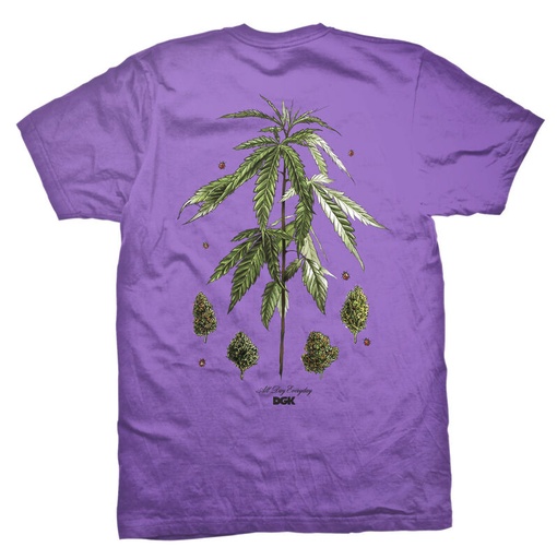 DGK BOTANICAL SOCIETY TEE 